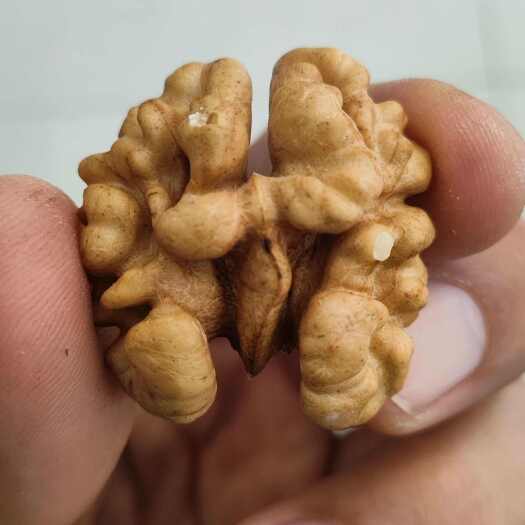 叶城县中国核桃之乡白核桃