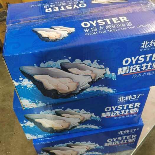 乳山市威海乳山生蚝精品礼箱