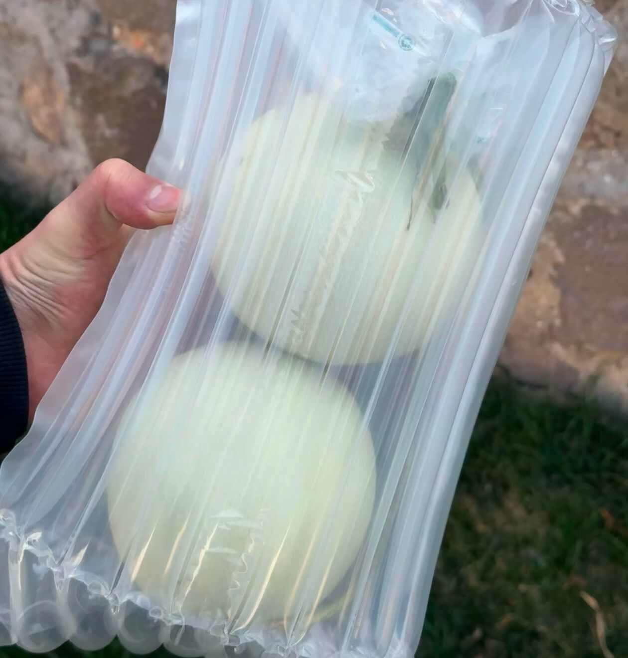 冰淇淋玉菇甜瓜一件代发 对接电商 社团私域 档口商超 直播