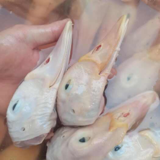 普宁市广东揭阳新鲜鸭头批发优质鸭副产品高性价比肉类食材
