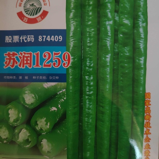 临沭县优质线椒种子新品种
