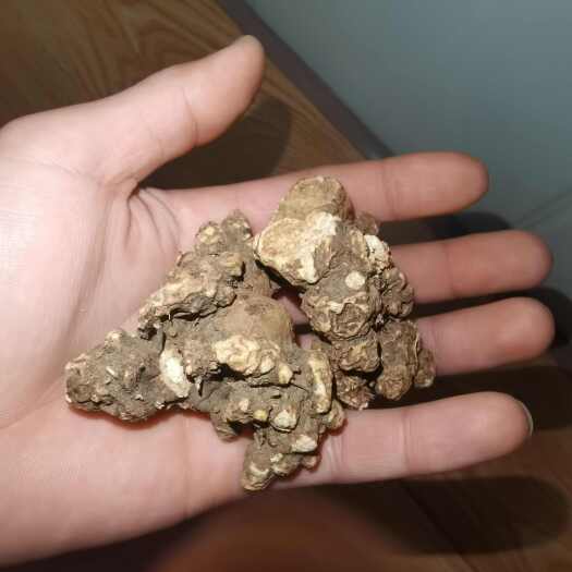 凤城市产地直供精品朱砂点北苍术