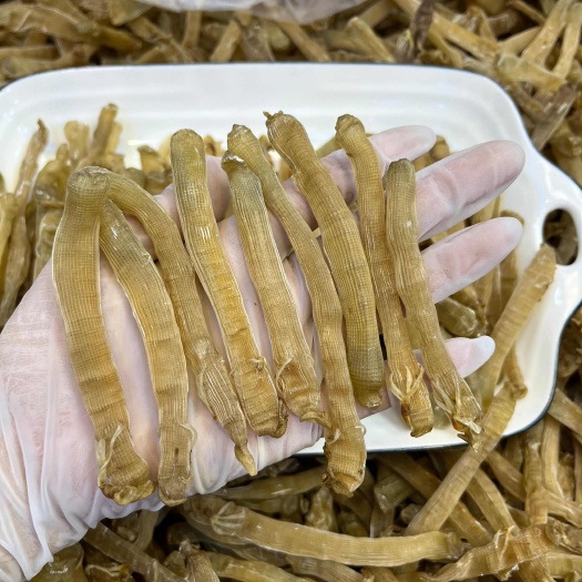 遂溪县精选沙虫干干净无沙大号沙虫约480条一斤煲汤煮粥批发