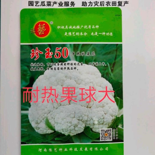 扶沟县珍玉50耐热菜花种子抗病抗逆性强早熟2包一亩地商品性好