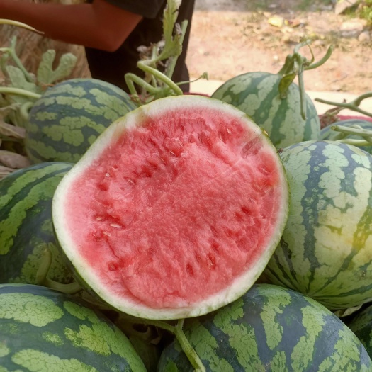 夏邑县美都