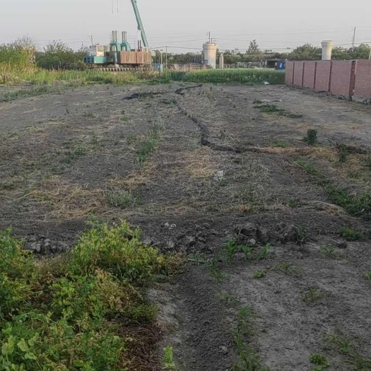 南通农村田地，兴仁镇，交通便捷