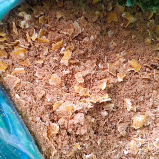 天津发酵饲料，发酵玉米压片，育肥牛羊猪鸡鸭鹅
