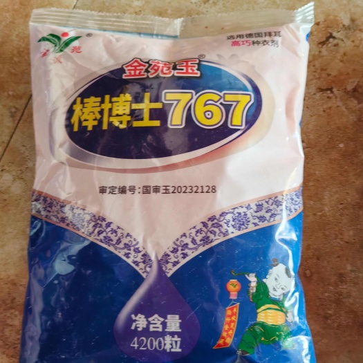 淄博金苑玉767棒博士玉米种子 产量高发芽率高