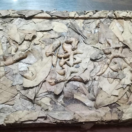 苍梧县老茶婆！地道经典六堡茶—▶︎金汤六堡茶老茶婆，忘不了的老茶味