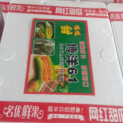 莘县博洋