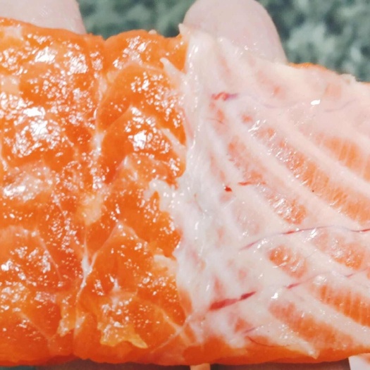 青海海南龙羊峡新鲜三文鱼优质水产食用鱼类