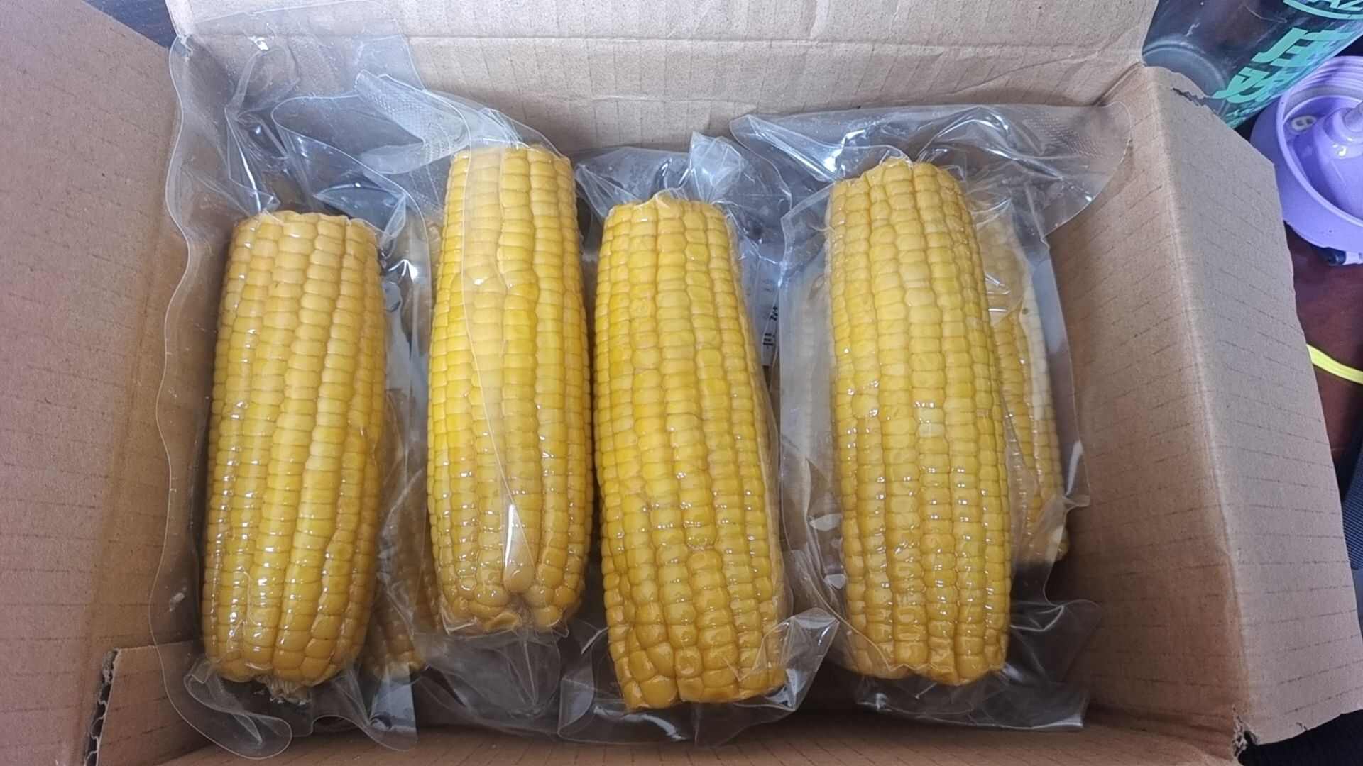 真空水果玉米整根玉米段