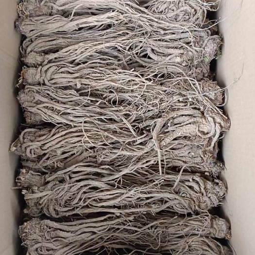甘洛县干货手搓个子当归，入口微甜口感鲜美！支持全国快递发货