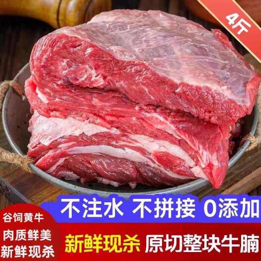 银川宁夏六盘山黄牛腩肉新鲜原切牛肉天然谷饲黄牛腩速冻包邮