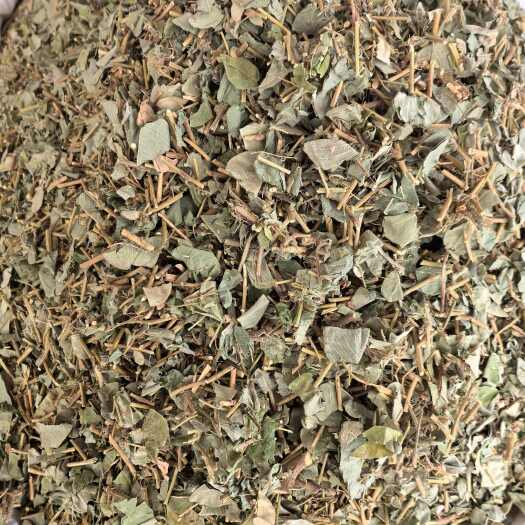 金钱草中草药大叶金钱草泡水喝广西金钱草中药材中草药