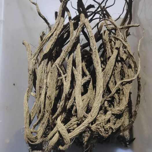 寻甸县续断