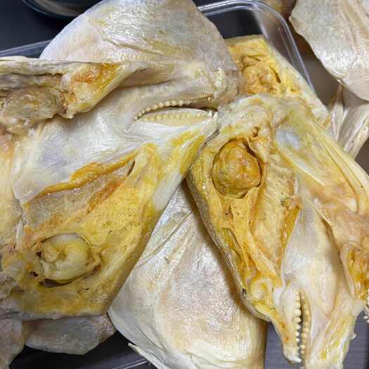 遂溪县深海大鱼头 鱼干厚肉鱼头 地摊 饭店进货一件代发