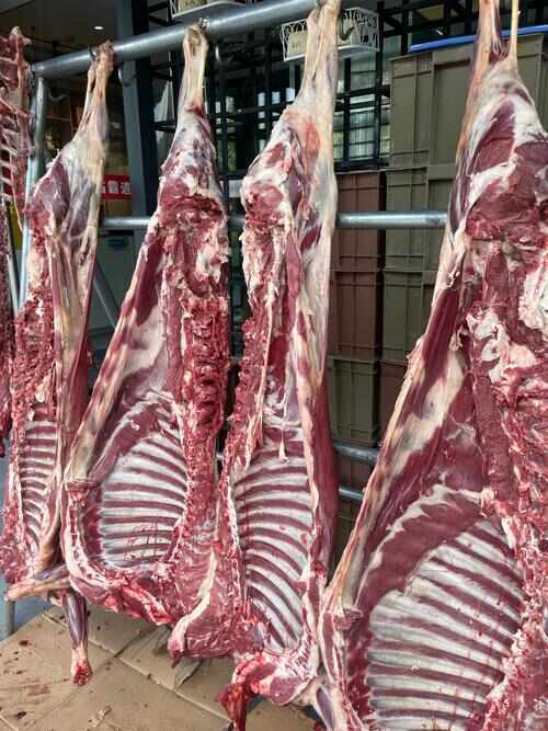轮台县一口羊肉，暖遍全身