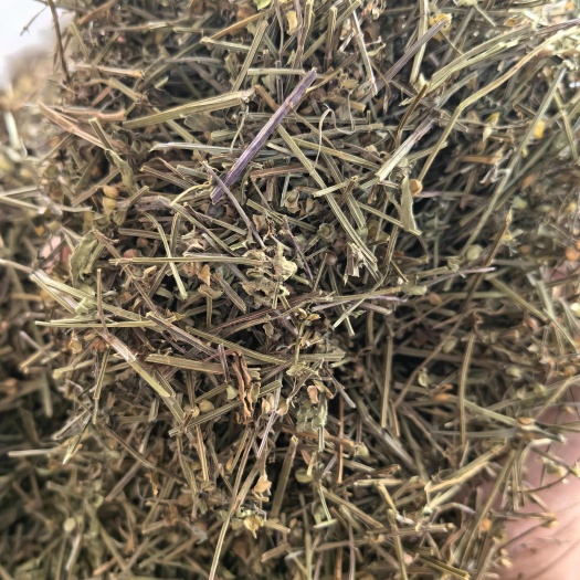 半支莲中药材 正品半枝莲中药材新货半枝莲自然晒干无硫无添