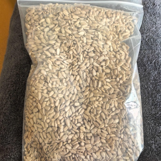 塔城市哈萨克斯坦葵仁精仁，水分9，出油率55-65食用级油葵仁