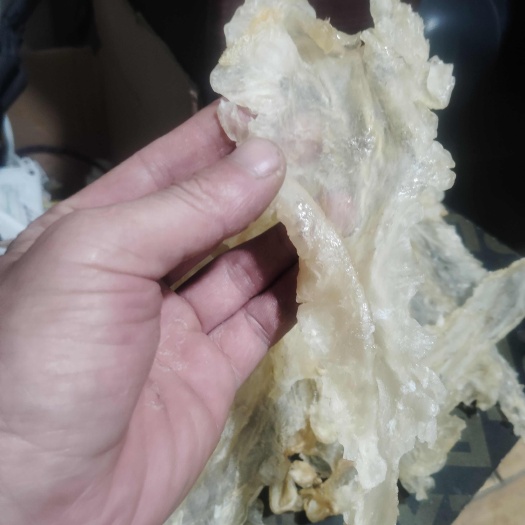 濮阳县鳕鱼胶