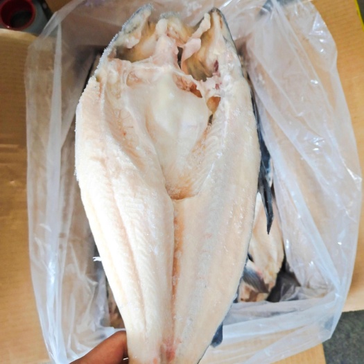 广西北海新鲜巴沙鱼批发 合浦县水产供货 现货稳定