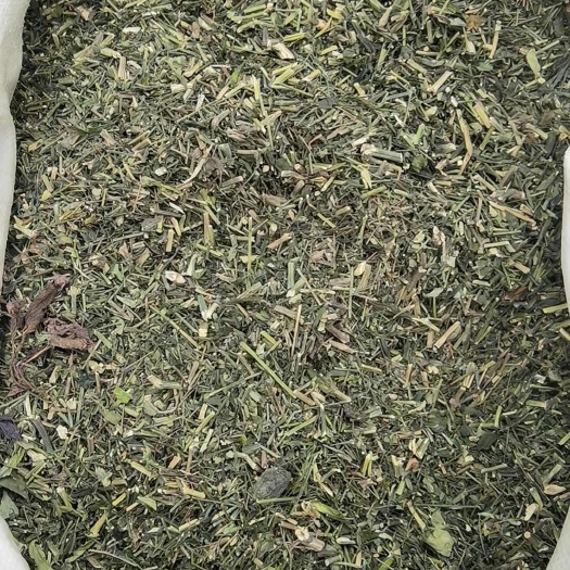 中药材穿心莲