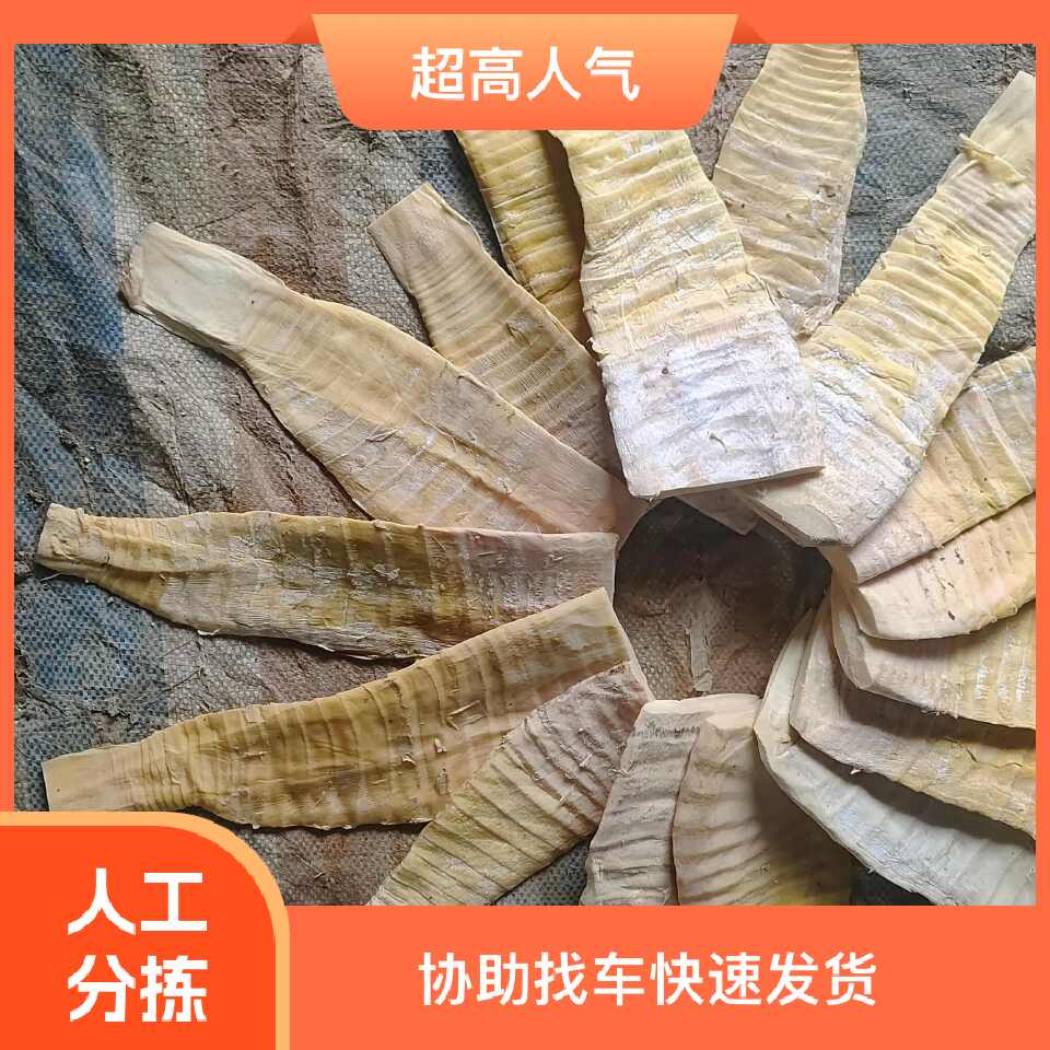 出仓笋 新货薄片嫩头 春笋压榨笋 毛竹笋 工厂农贸市场批发