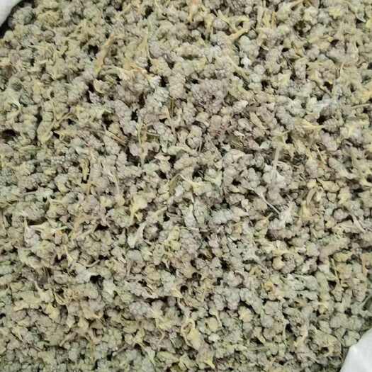 中药材密蒙花 黄饭花