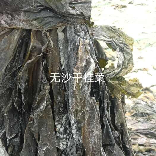 莆田福建湄洲岛挂晒无沙海带干货