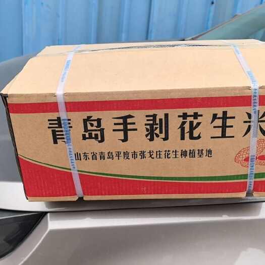 平度市纯青岛平度当地9616花生种子米