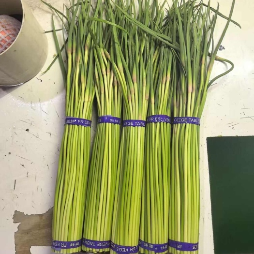 河南新苗精品蒜薹大量上市，质量好，价格不高，需要的欢迎联系