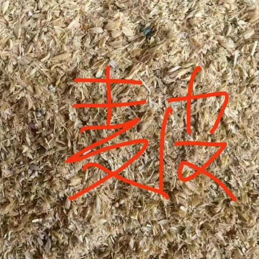 厂家直销熟二级大麦，麦根，麦壳（含颗粒），欢迎订购！