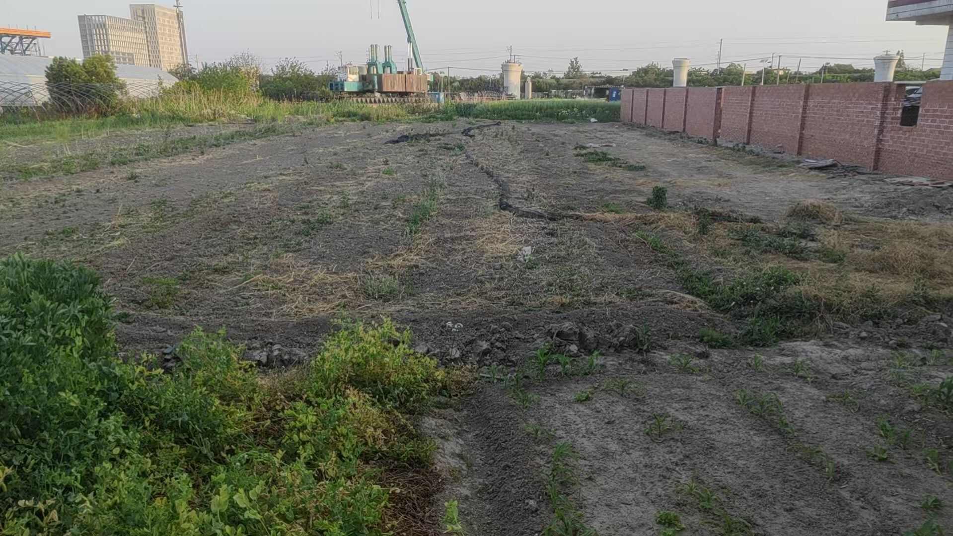 兴仁镇四号桥北一公里处，交通方便，自家农田，价格可议