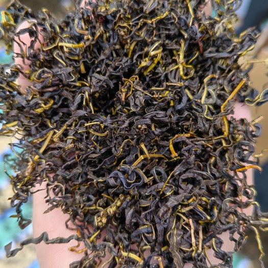 古蔺赶黄草新货古蔺县黄荆镇直发