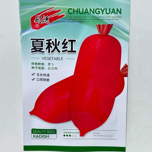 沭阳县春秋红萝卜种子高耐热早熟红皮白肉水果萝卜大田四季播蔬菜籽