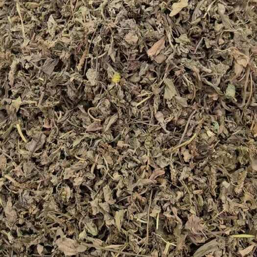 亳州车前草 中药材车前草