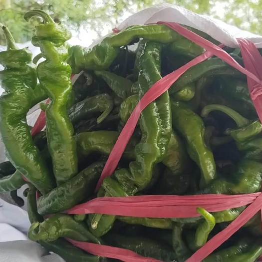 富平县罗丝辣子
