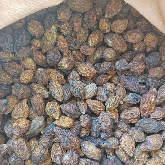 云南临沧永德县优质诃子中药材果实籽仁类干货