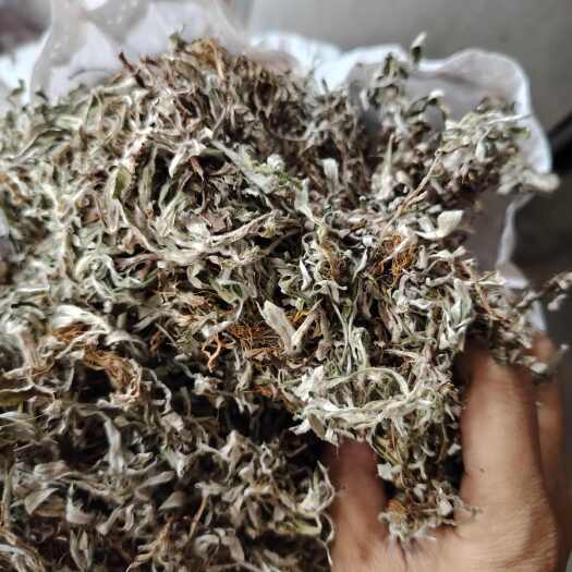 乐山天青地白  颜色好干净无杂包邮