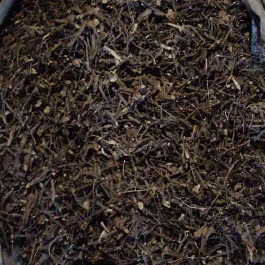 楚雄市云南羊耳菊白面风山白芷干货切断