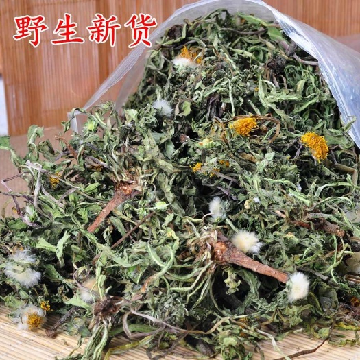 旬阳市秦岭整颗蒲公英带根花草茶蒲公英茶