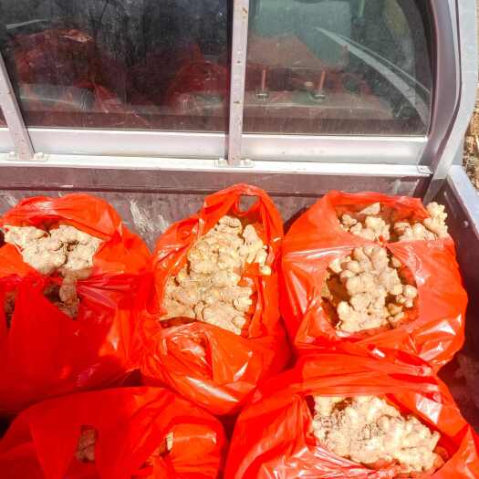 潜山市安徵窖藏山地小黄姜，产地直发。