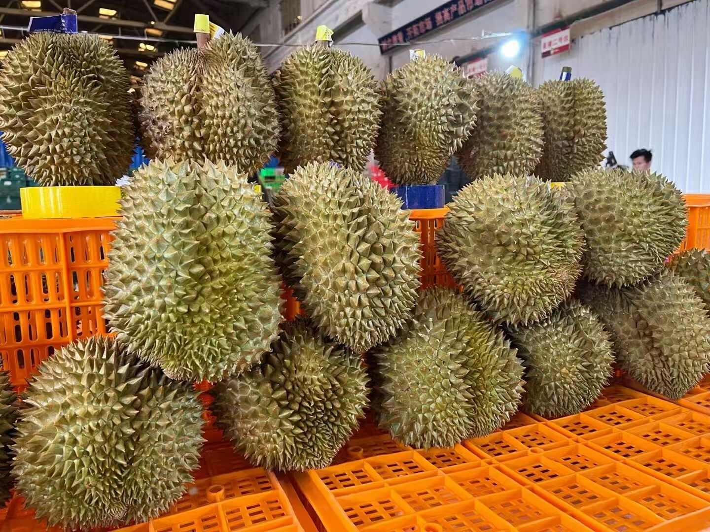 现货泰国金枕头榴莲新鲜水果整个带壳核小肉厚金枕榴莲包邮