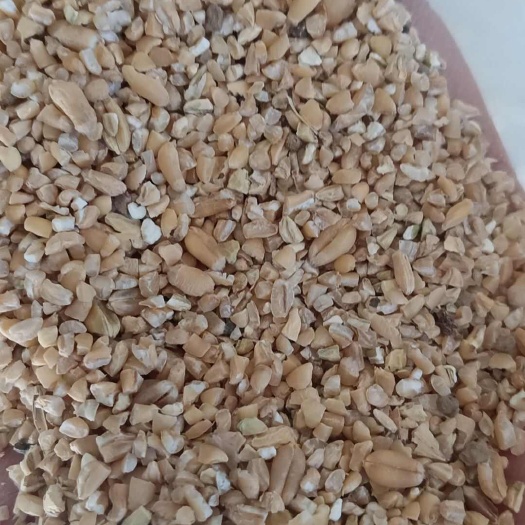 碎小麦