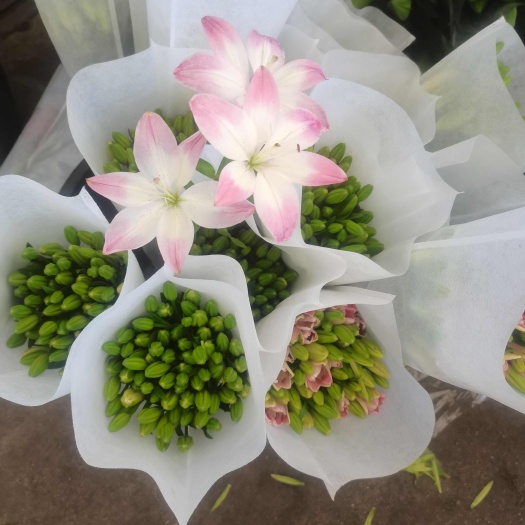 鲜花