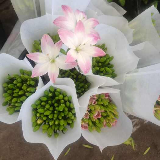 昆明鲜花