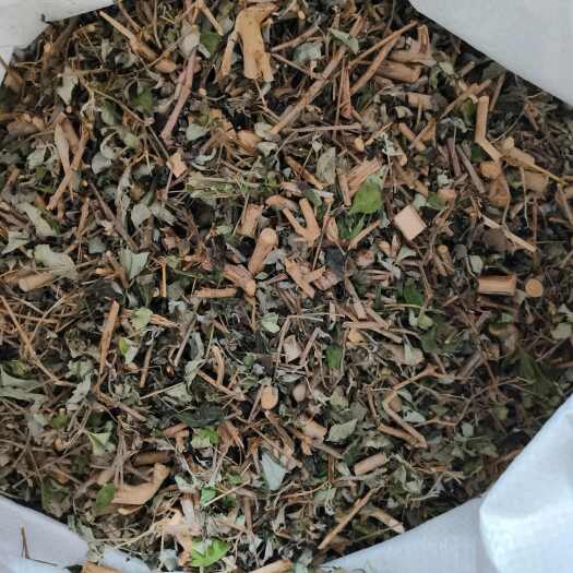 桂平市五指柑     黄荆    紫荆木