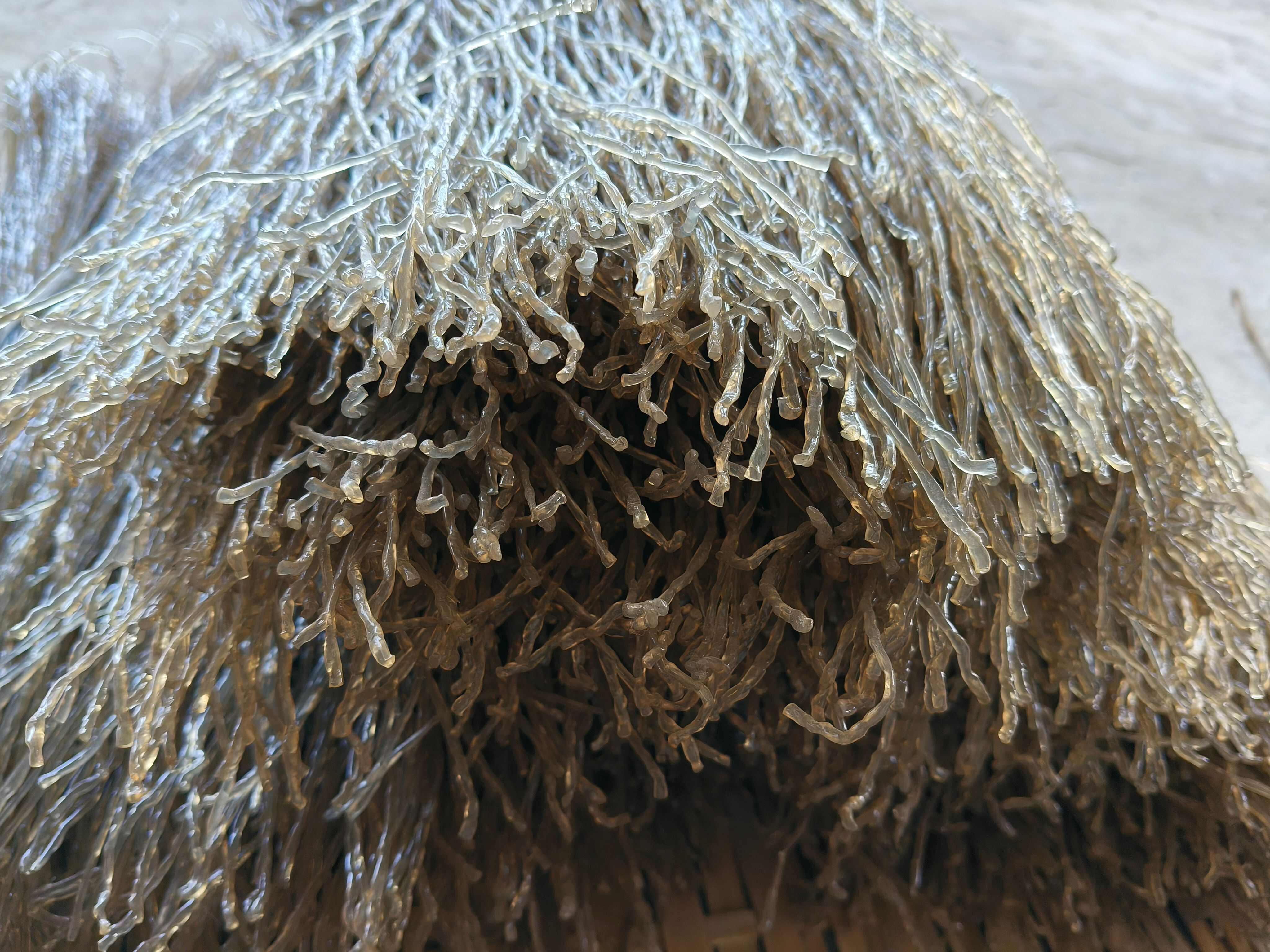 纯正农家绿色健康红薯粉条番薯粉丝粉条火锅炖肉圆粉