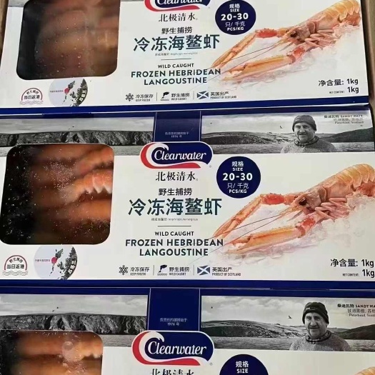 【一手货源】鳌虾批发供应，产地直发支持定制